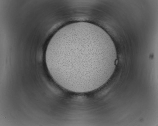 X0000094350304200711241920