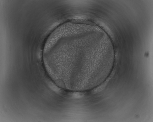 X0000094350305200711241920