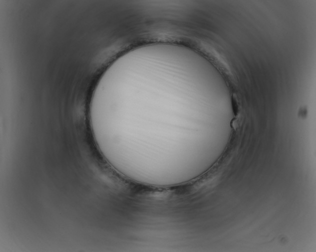 X0000094350306200711241920