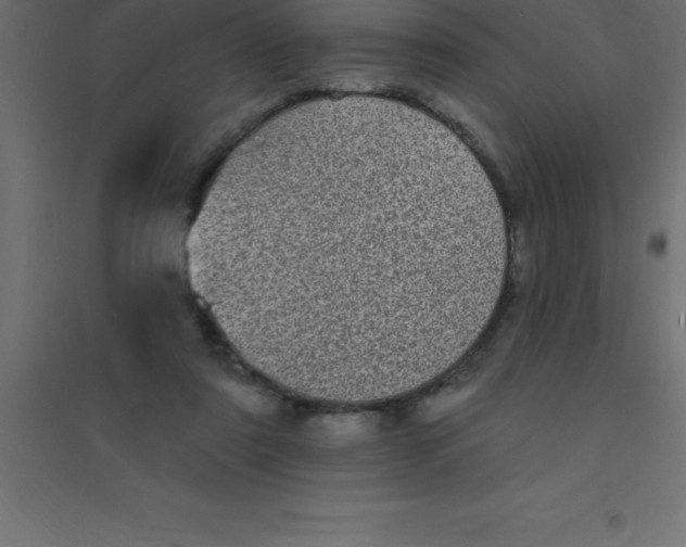 X0000094350307200711241920