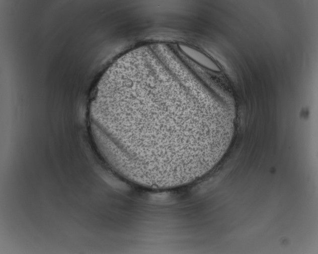 X0000094350309200711241920