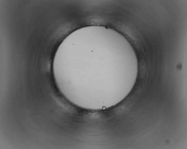 X0000094350310200711241920