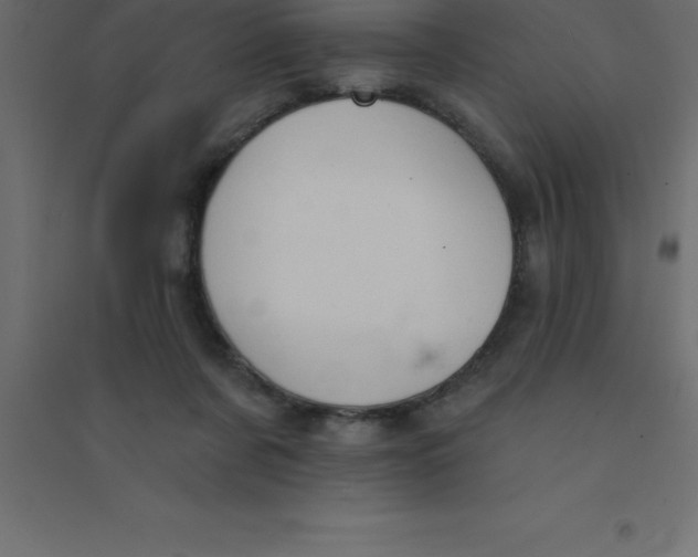 X0000094350311200711241920