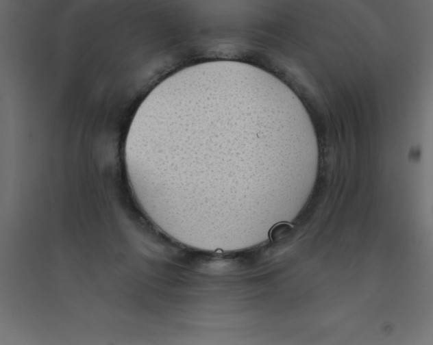 X0000094350312200711241920