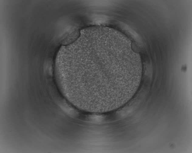 X0000094350313200711241920