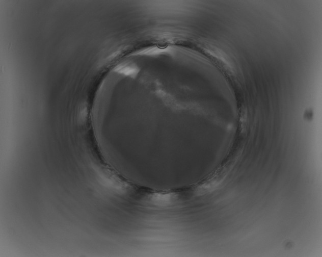 X0000094350314200711241920