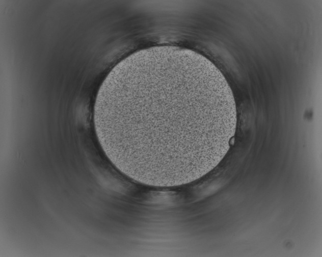 X0000094350316200711241920