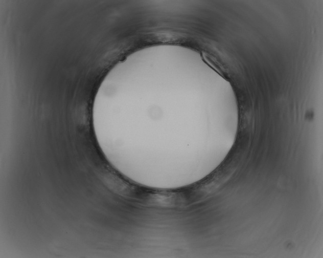 X0000094350317200711241920