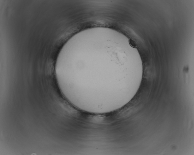 X0000094350318200711241920