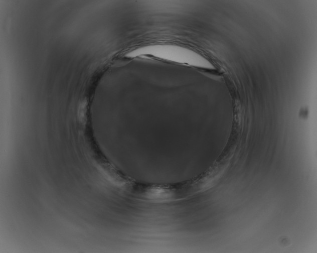 X0000094350319200711241920