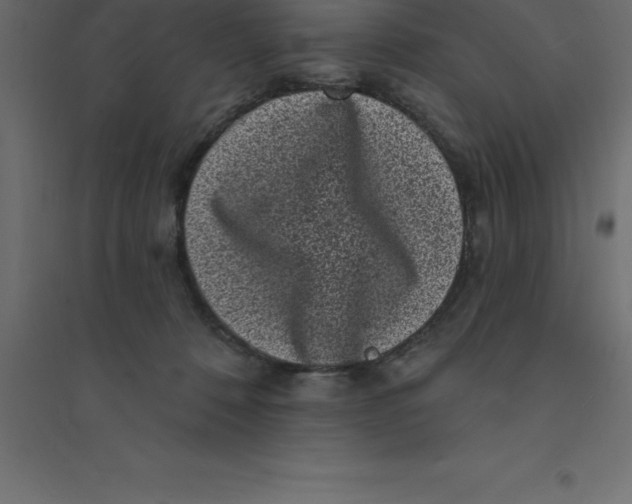 X0000094350320200711241920