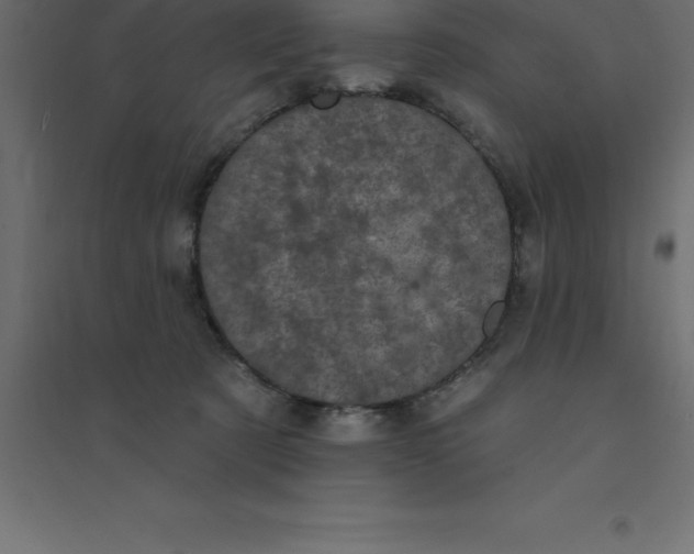 X0000094350321200711241920