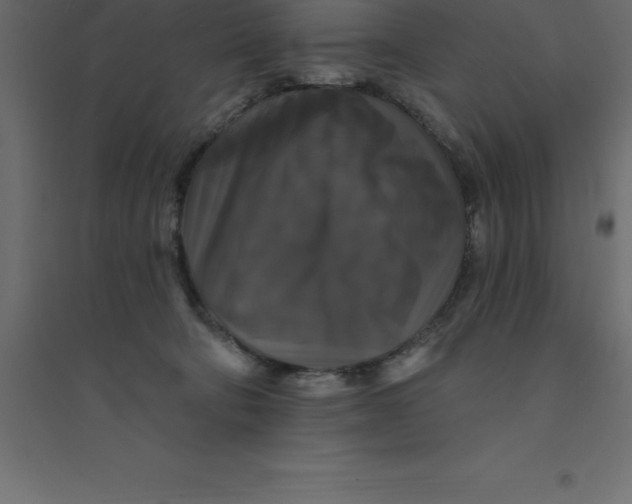 X0000094350322200711241920