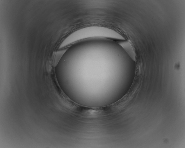 X0000094350323200711241920