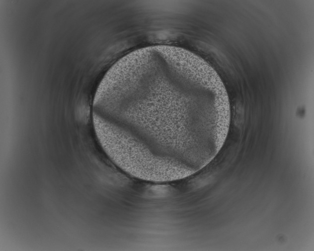 X0000094350324200711241920