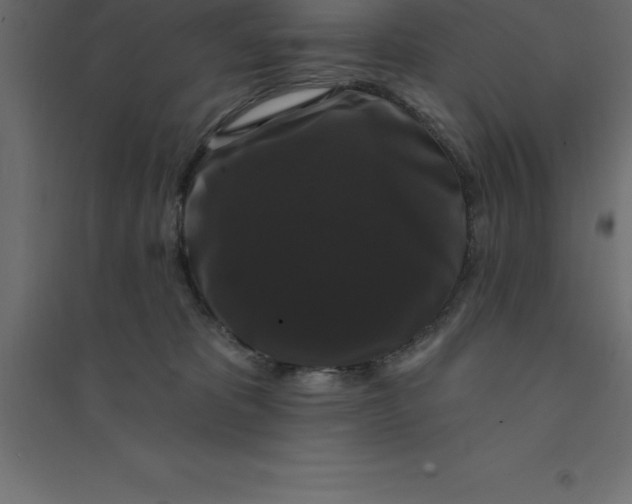 X0000094350325200711241920