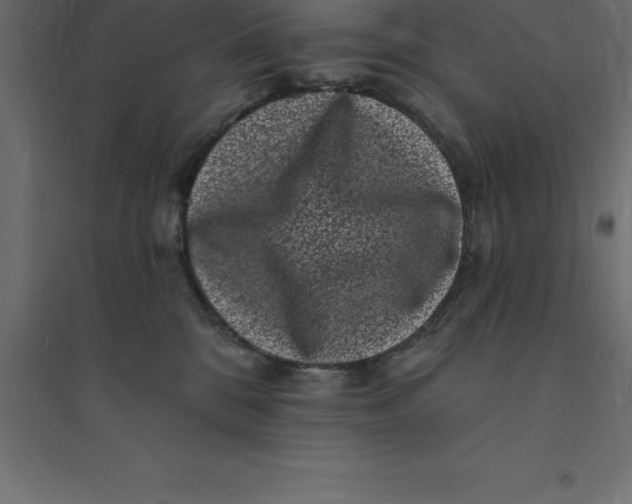 X0000094350328200711241920