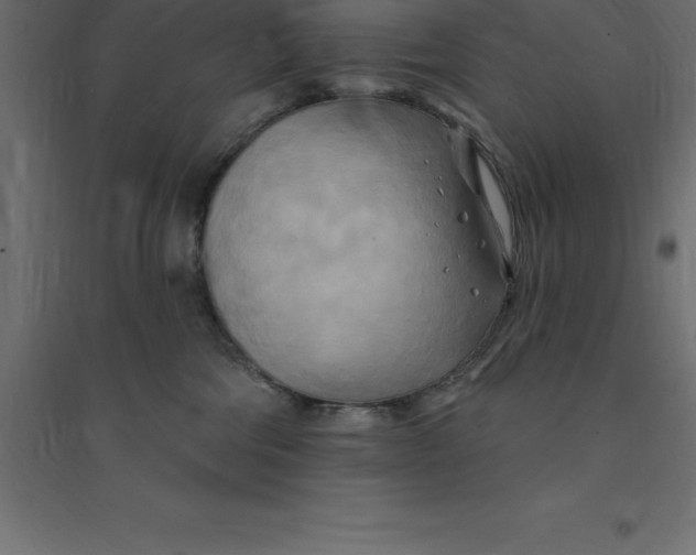 X0000094350330200711241920