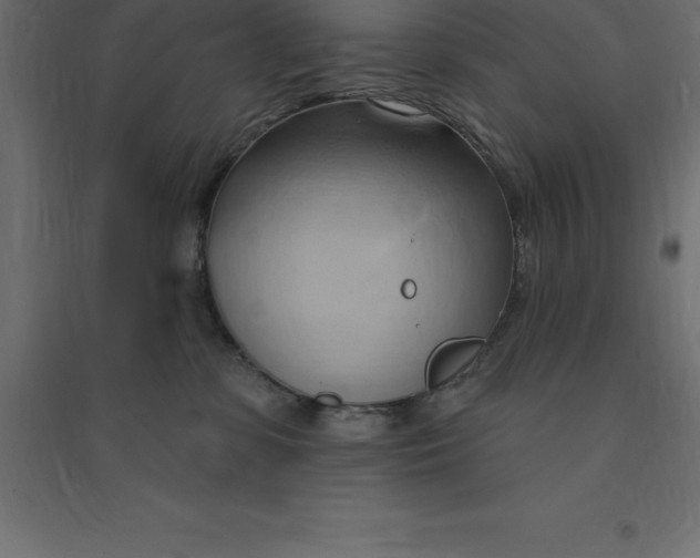 X0000094350331200711241920