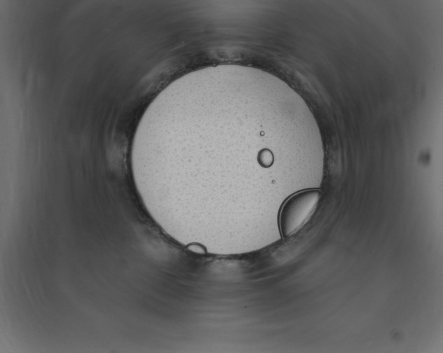 X0000094350332200711241920