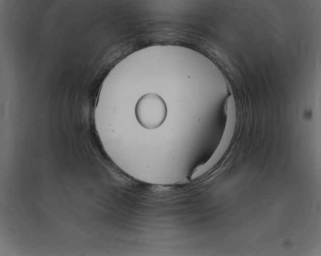 X0000094350333200711241920