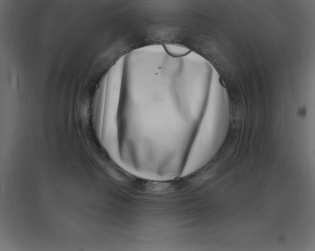 X0000094350334200711241920