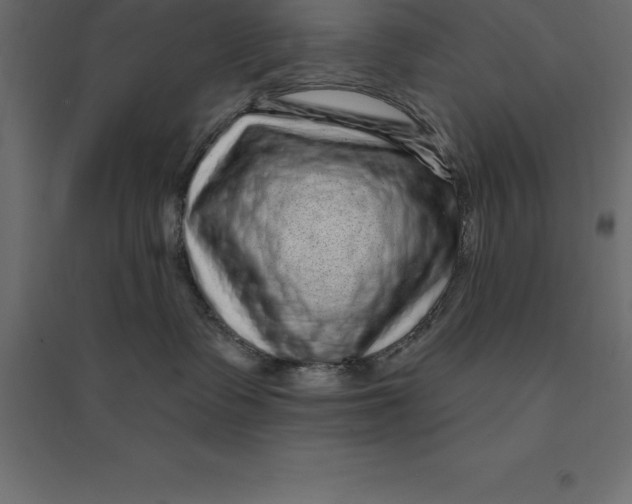 X0000094350335200711241920