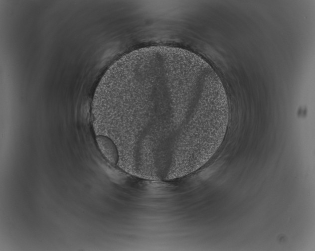 X0000094350336200711241920