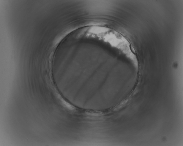 X0000094350337200711241919