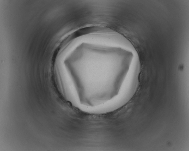 X0000094350338200711241919