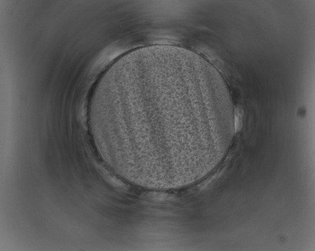 X0000094350339200711241919