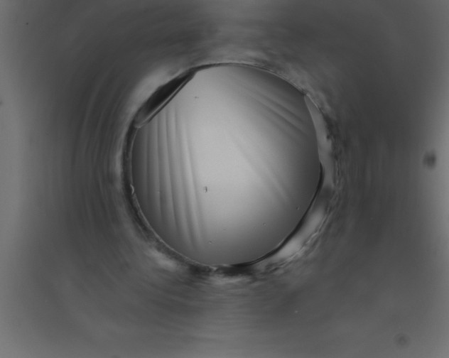 X0000094350340200711241919