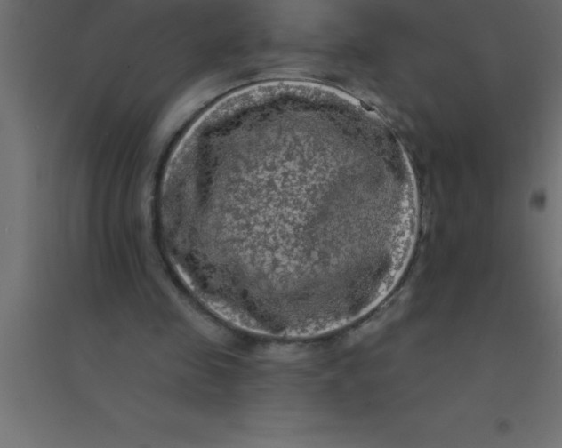 X0000094350341200711241919