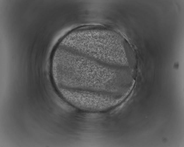 X0000094350342200711241919