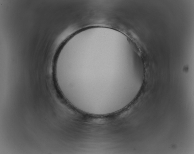 X0000094350344200711241919