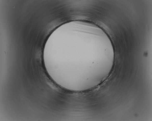 X0000094350345200711241919