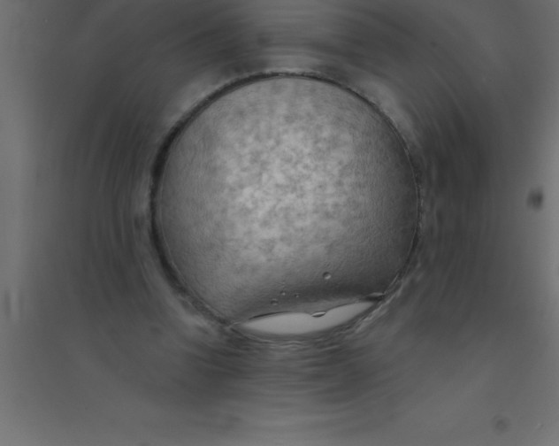 X0000094350346200711241919