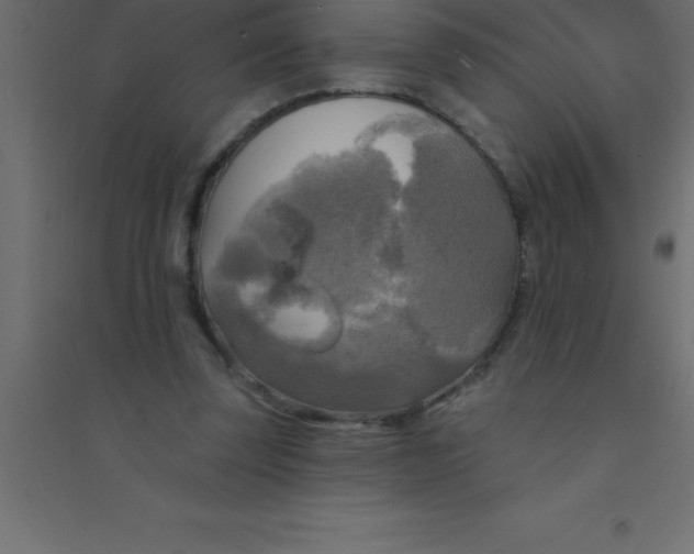 X0000094350347200711241919