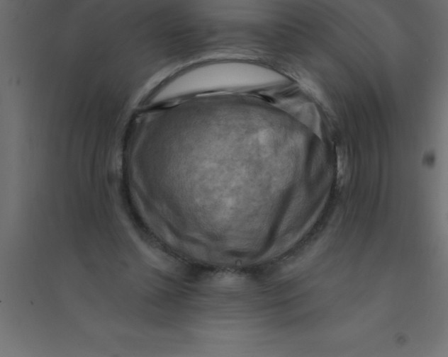 X0000094350348200711241919