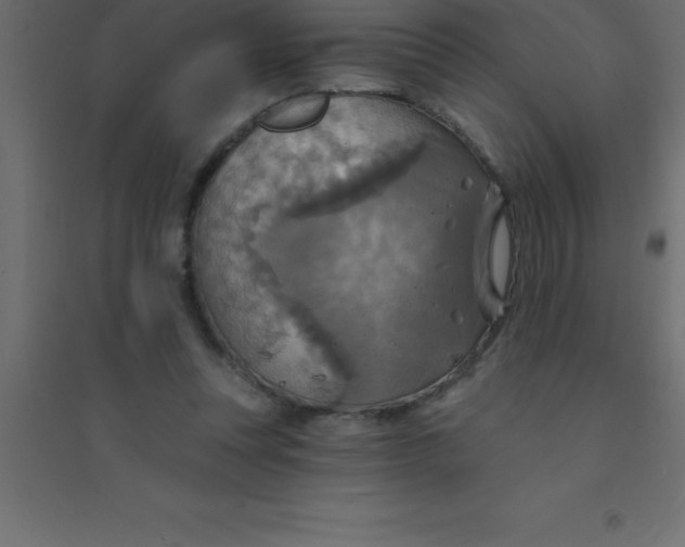 X0000094350351200711241920