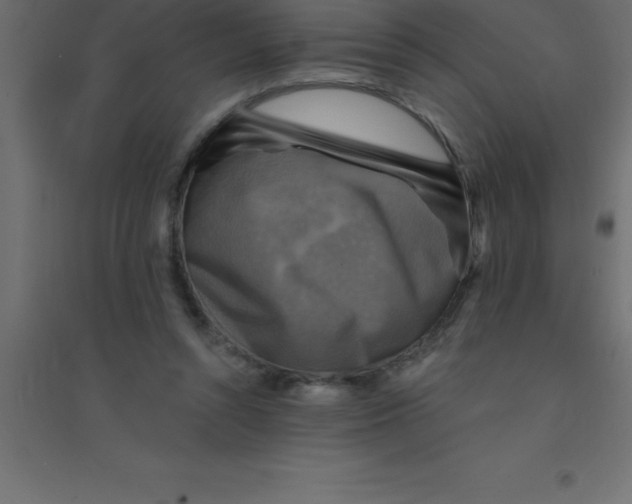 X0000094350352200711241920