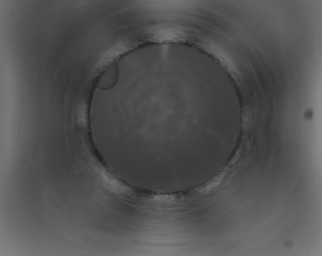 X0000094350353200711241920