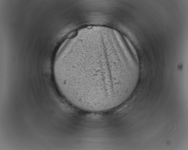 X0000094350354200711241920