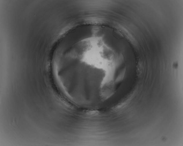 X0000094350355200711241920