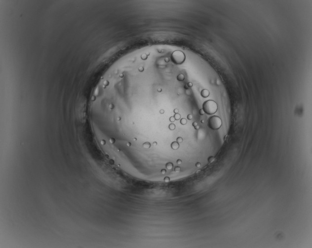 X0000094350356200711241920