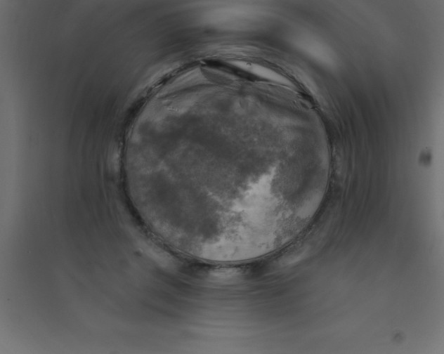 X0000094350357200711241920