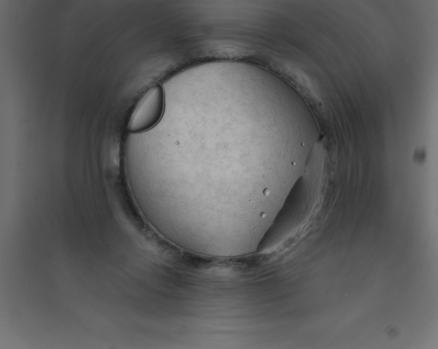 X0000094350358200711241920