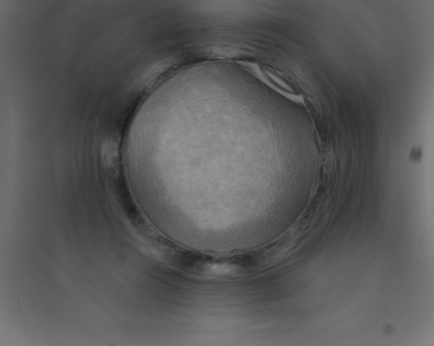 X0000094350360200711241920