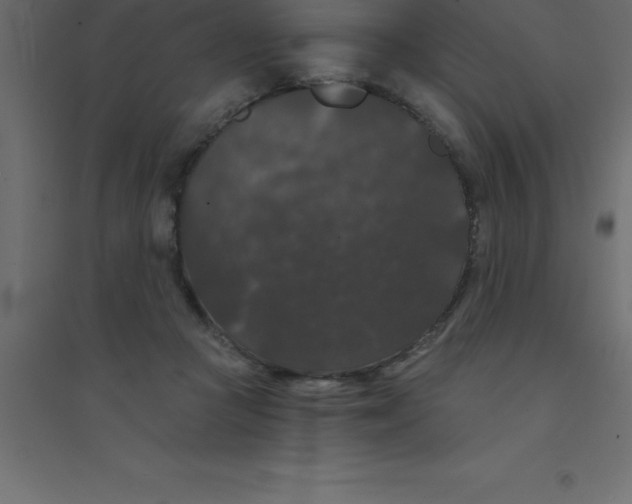 X0000094350361200711241920