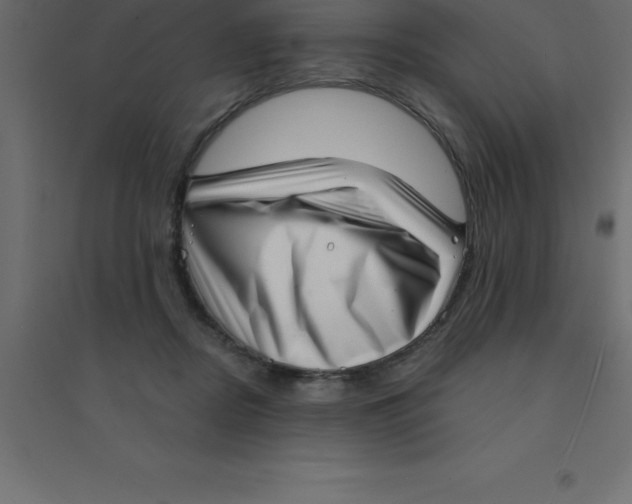 X0000094350362200711241920